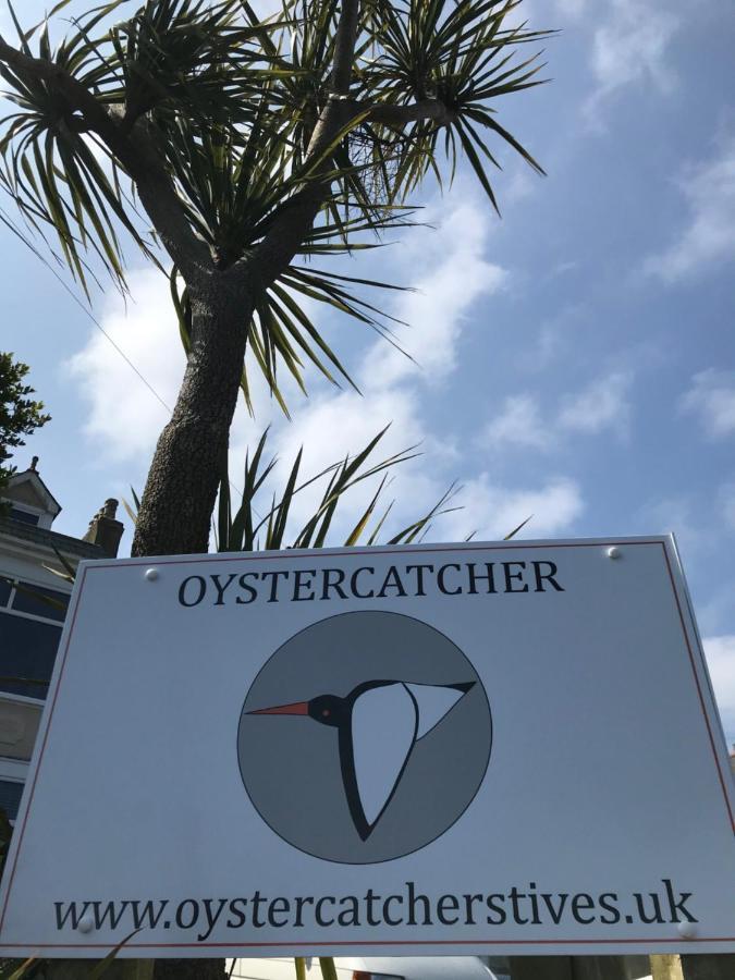 Oystercatcher St Ives  Exterior photo